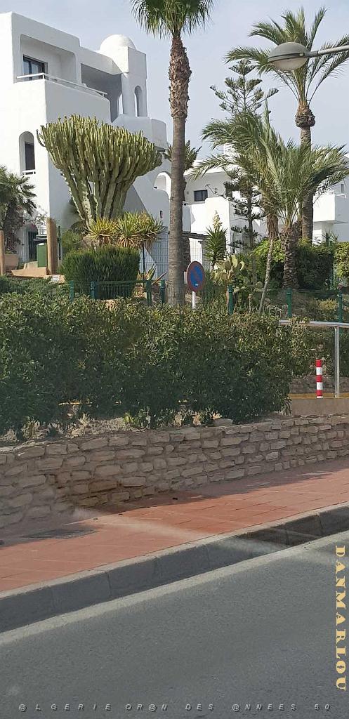 HOMMAGE A N.D. DE SANTA CRUZ A DALIAS DU 7 AU 10 JUIN 2019 (647) ESCAPADE A CARBONERA ET MOJACA .jpg